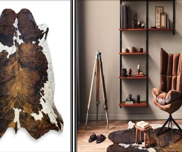 Why Should You Choose Cowhide Rugs Over Other Types of Rugs?