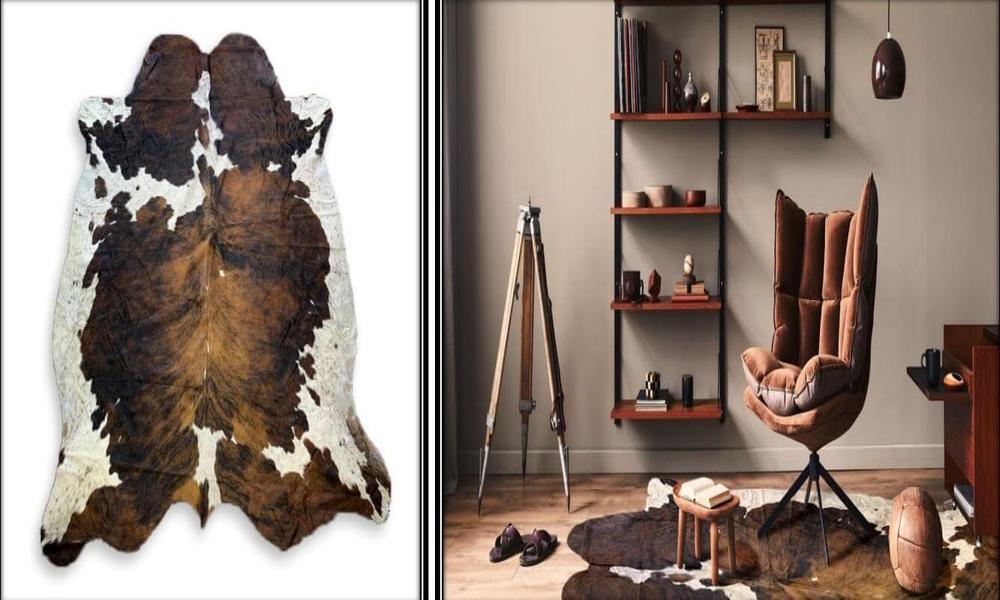 Why Should You Choose Cowhide Rugs Over Other Types of Rugs