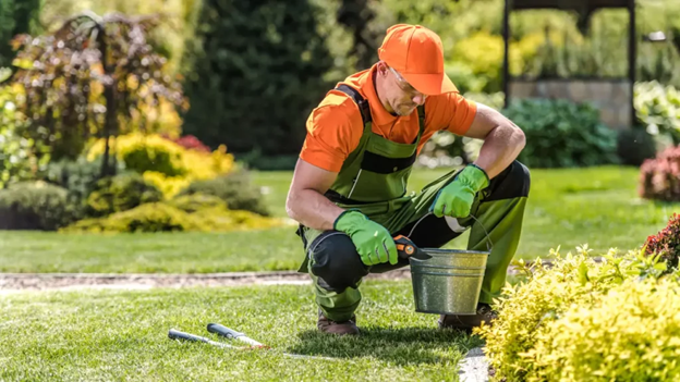 Benefits of Investing in Professional Lawn Care