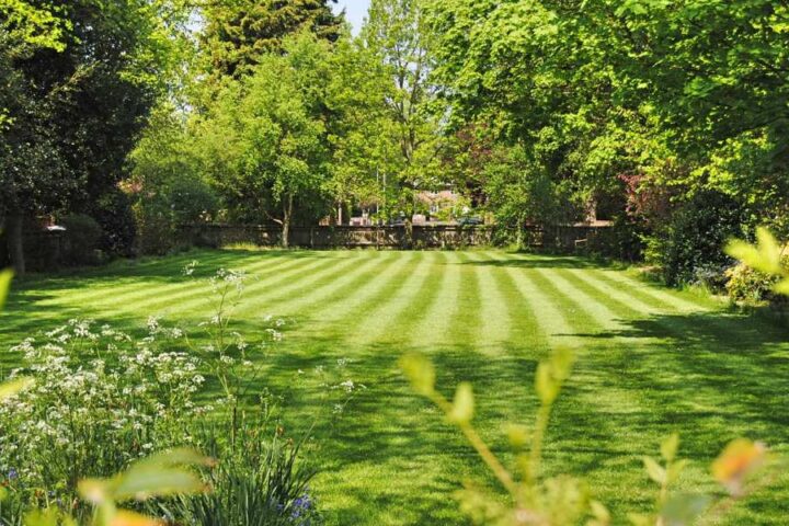 Enhancing Your Property’s Curb Appeal with Professional Commercial Lawn Care Services