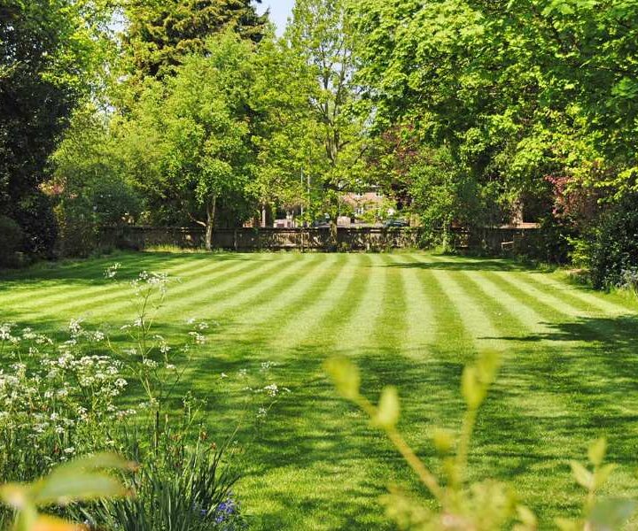 Enhancing Your Property’s Curb Appeal with Professional Commercial Lawn Care Services